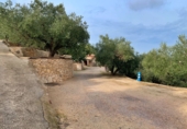 Xalet independent amb terreny en venda a Tortosa ref.: TR68230 foto
