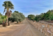 Xalet independent amb terreny en venda a Tortosa ref.: TR68230 foto