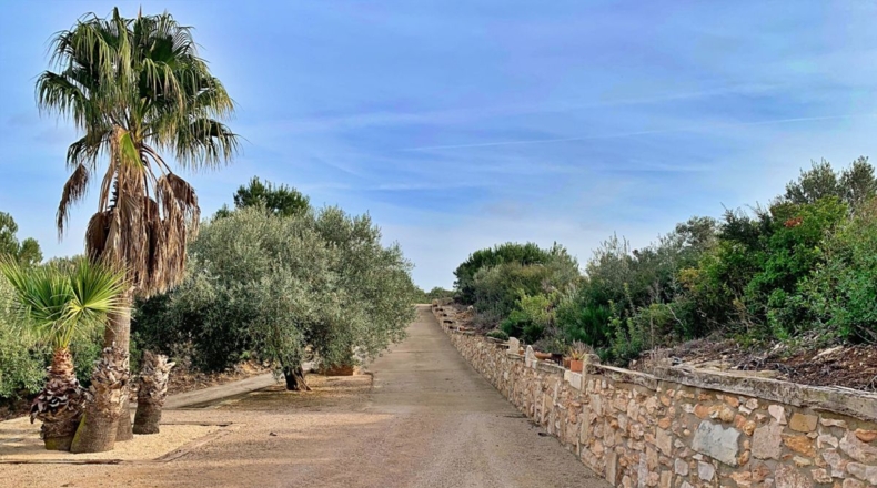 Tarragona - els Reguers - 10311m2