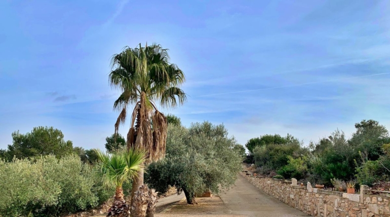 Tarragona - els Reguers - 10311m2