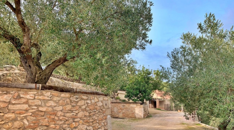 Tarragona - els Reguers - 10311m2