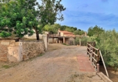 Xalet independent amb terreny en venda a Tortosa ref.: TR68230 foto