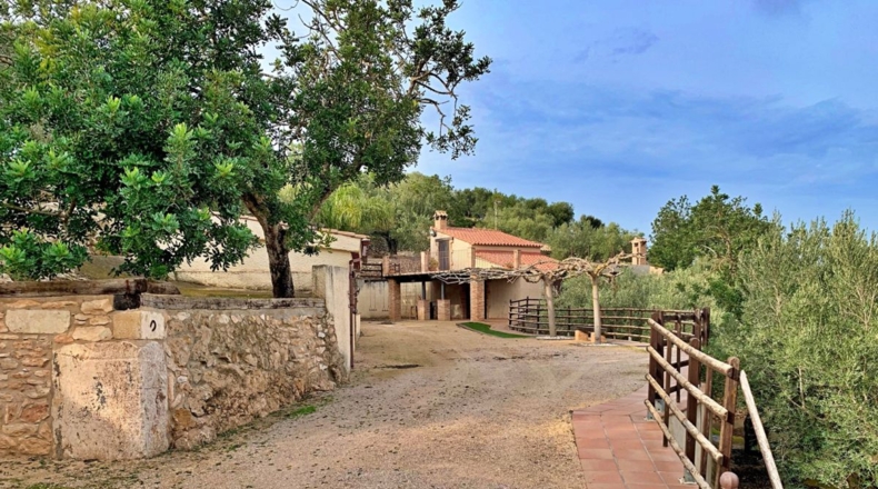 Tarragona - els Reguers - 10311m2