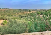 Xalet independent amb terreny en venda a Tortosa ref.: TR68230 foto