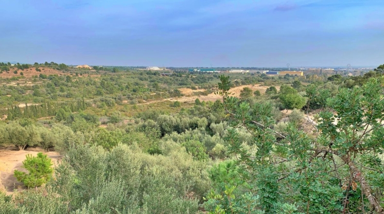 Tarragona - els Reguers - 10311m2