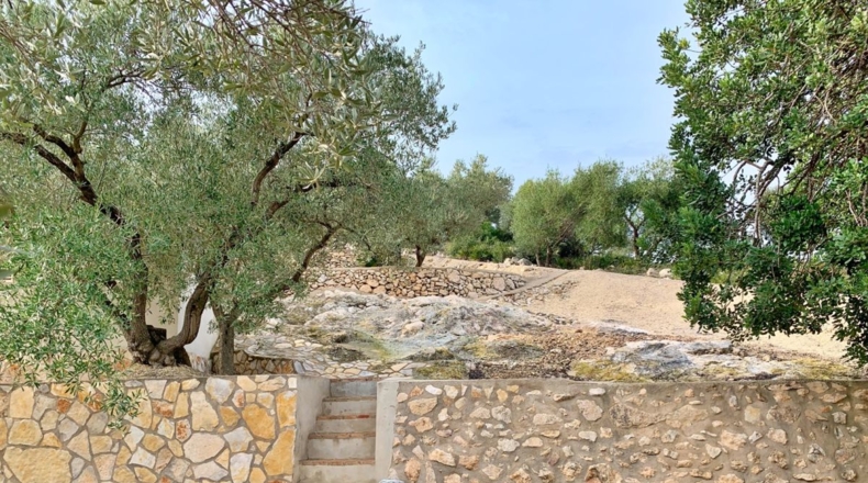 Tarragona - els Reguers - 10311m2