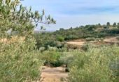 Xalet independent amb terreny en venda a Tortosa ref.: TR68230 foto