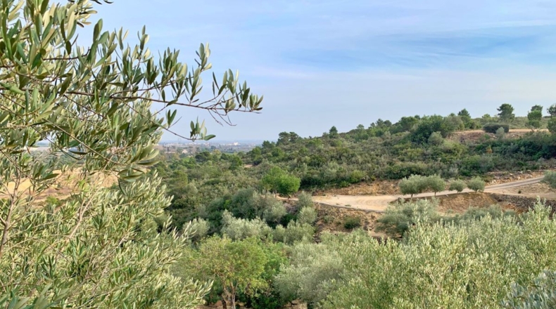 Tarragona - els Reguers - 10311m2