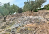 Xalet independent amb terreny en venda a Tortosa ref.: TR68230 foto