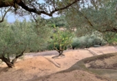 Xalet independent amb terreny en venda a Tortosa ref.: TR68230 foto