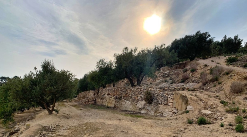 Tarragona - els Reguers - 10311m2