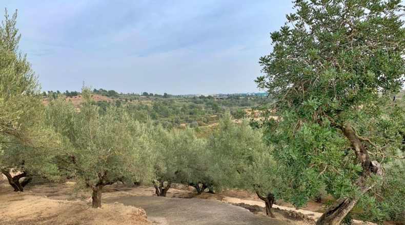 Tarragona - els Reguers - 10311m2