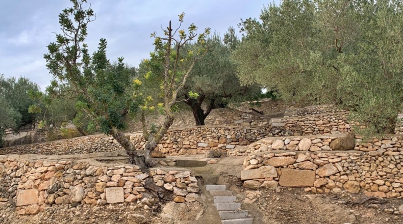 Tarragona - els Reguers - 10311m2