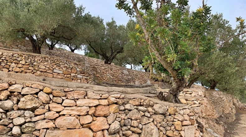 Tarragona - els Reguers - 10311m2