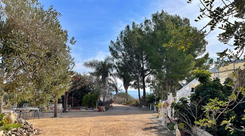 Tarragona - Aldover - 35000m2