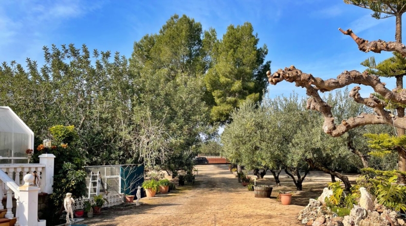 Tarragona - Aldover - 35000m2