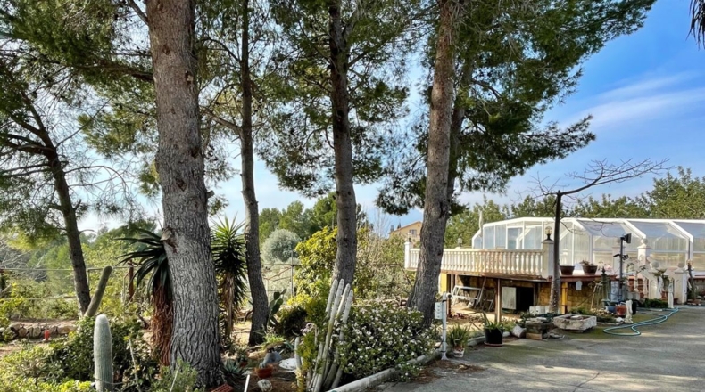 Tarragona - Aldover - 35000m2