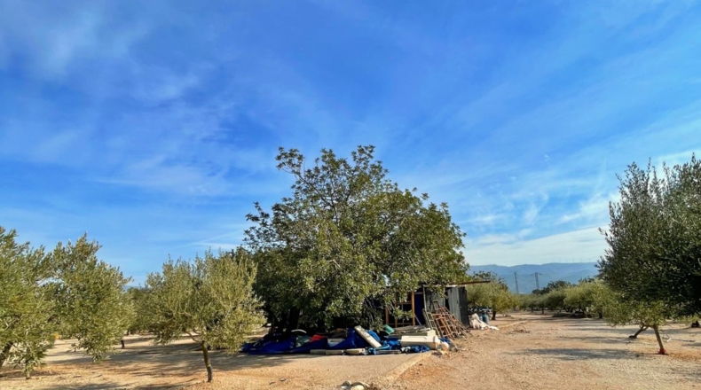 Tarragona - Aldover - 35000m2