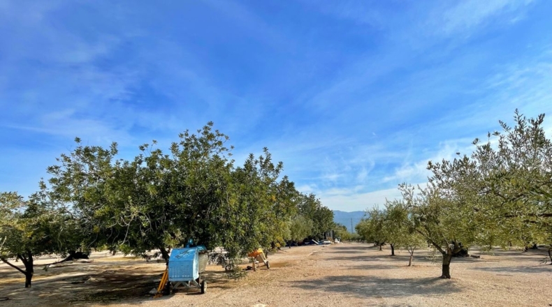 Tarragona - Aldover - 35000m2