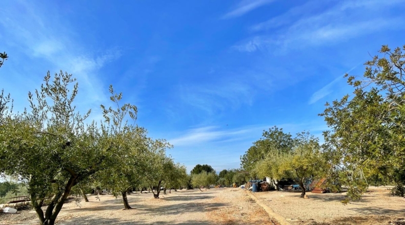 Tarragona - Aldover - 35000m2