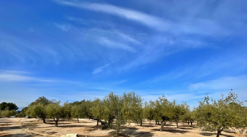 Tarragona - Aldover - 35000m2