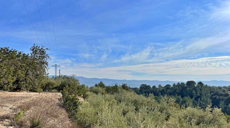 Tarragona - Aldover - 35000m2
