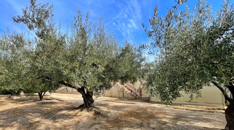 Tarragona - Aldover - 35000m2
