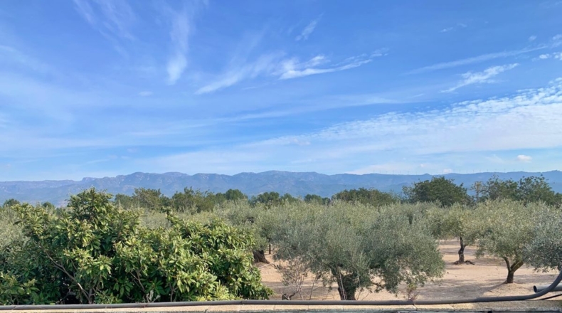 Tarragona - Aldover - 35000m2