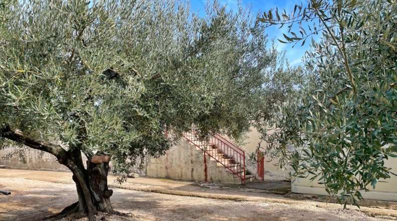 Tarragona - Aldover - 35000m2
