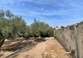 Xalet independent amb terreny en venda a Tortosa ref.: TR70414 foto