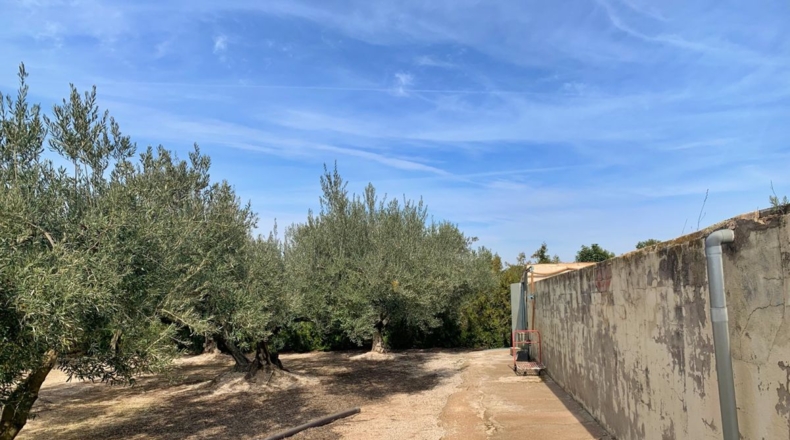 Tarragona - Aldover - 35000m2