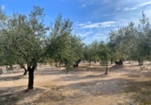 Xalet independent amb terreny en venda a Tortosa ref.: TR70414 foto
