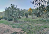 Земля на продажу у города Xerta. Фото