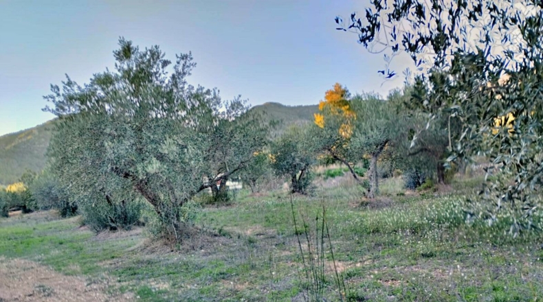 Tarragona - Xerta - 12900m2