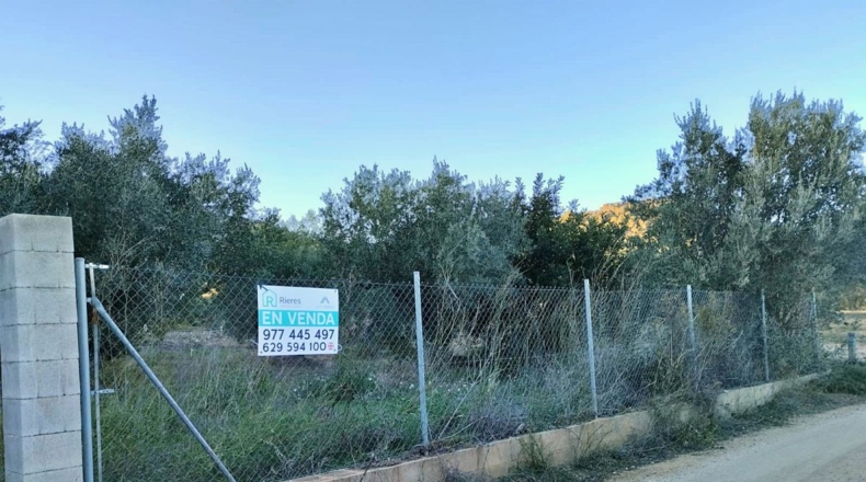 Tarragona - Xerta - 12900m2