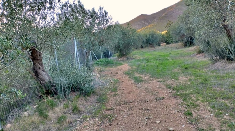Tarragona - Xerta - 12900m2