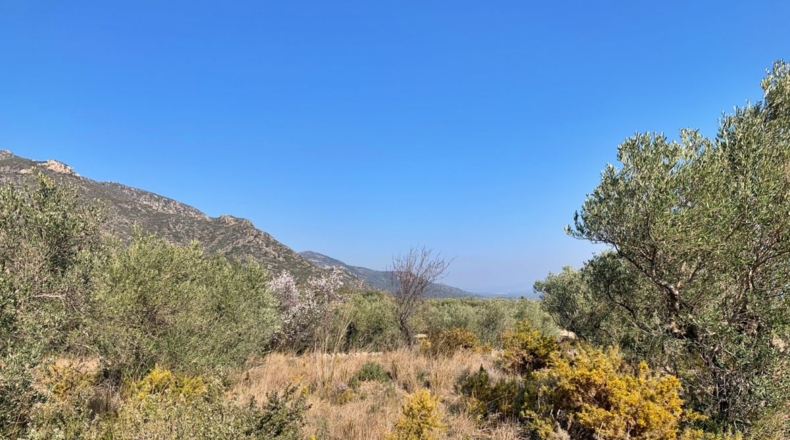 Tarragona - Roquetes - 16400m2
