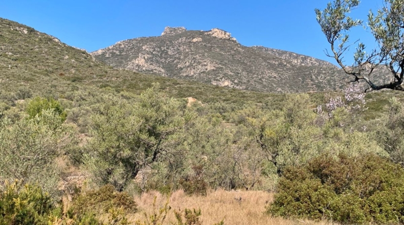 Tarragona - Roquetes - 16400m2