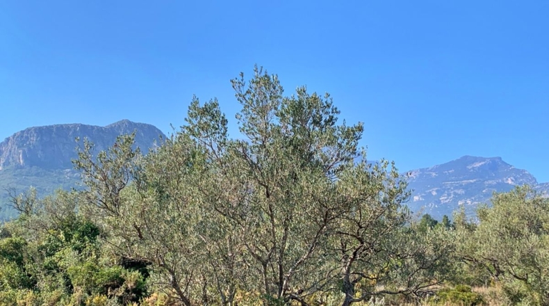 Tarragona - Roquetes - 16400m2