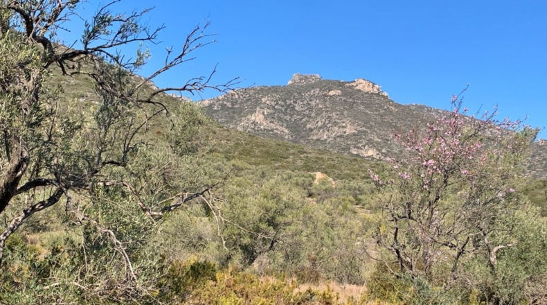 Tarragona - Roquetes - 16400m2