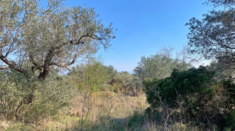 Tarragona - Roquetes - 16400m2
