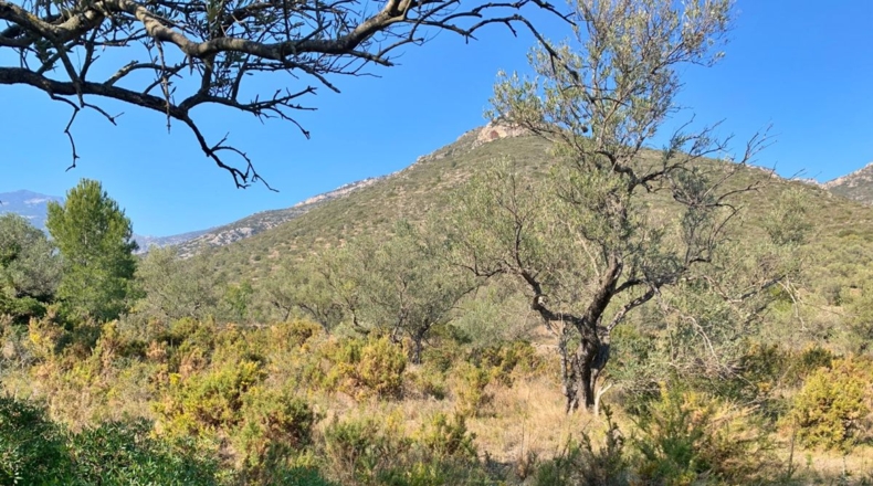 Tarragona - Roquetes - 16400m2
