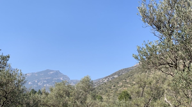Tarragona - Roquetes - 16400m2