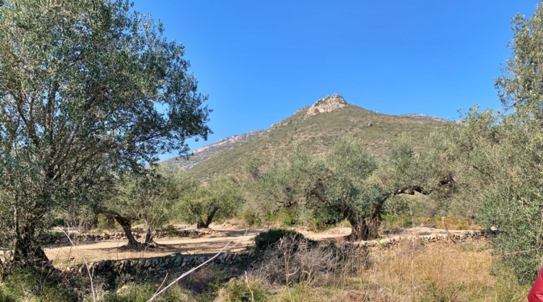 Tarragona - Roquetes - 16400m2