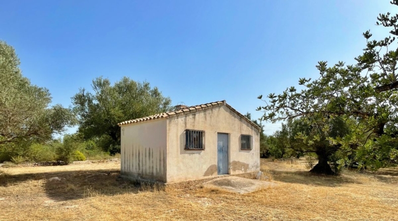Tarragona - Aldover - 13325m2