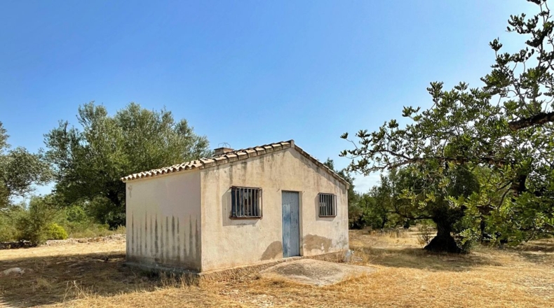 Tarragona - Aldover - 13325m2