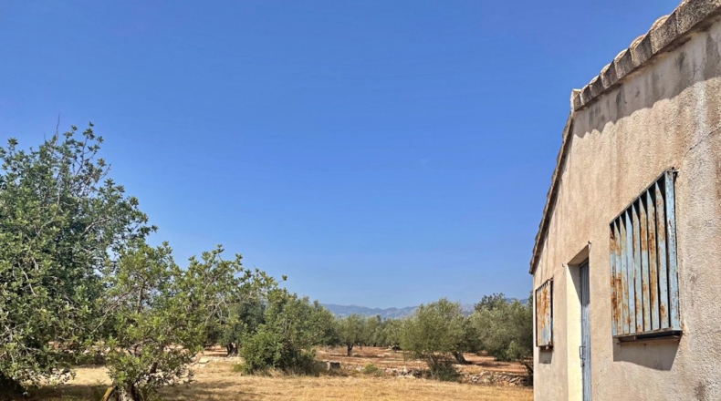 Tarragona - Aldover - 13325m2