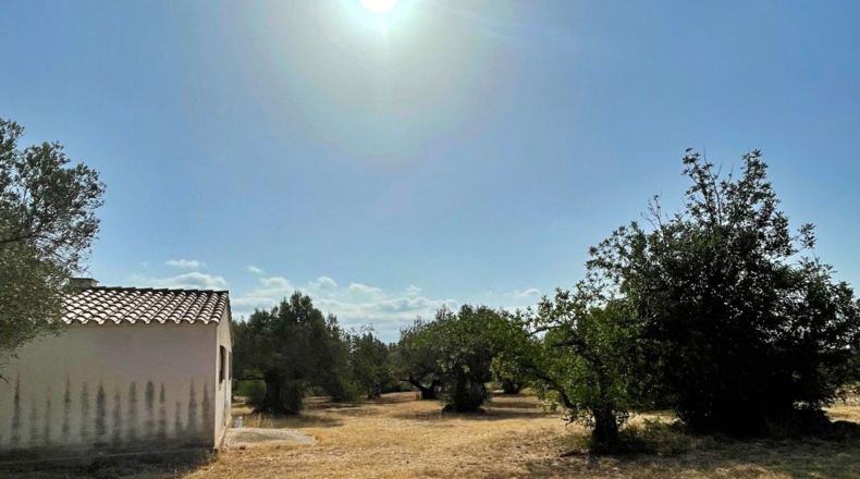 Tarragona - Aldover - 13325m2