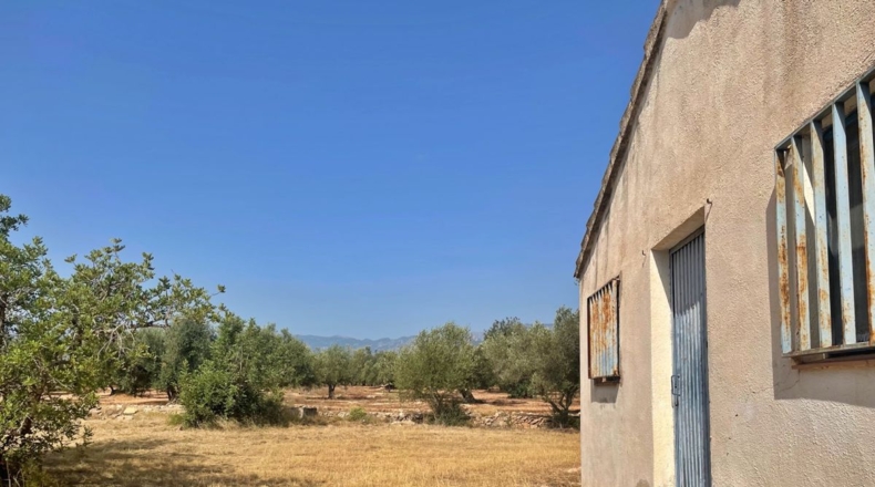 Tarragona - Aldover - 13325m2