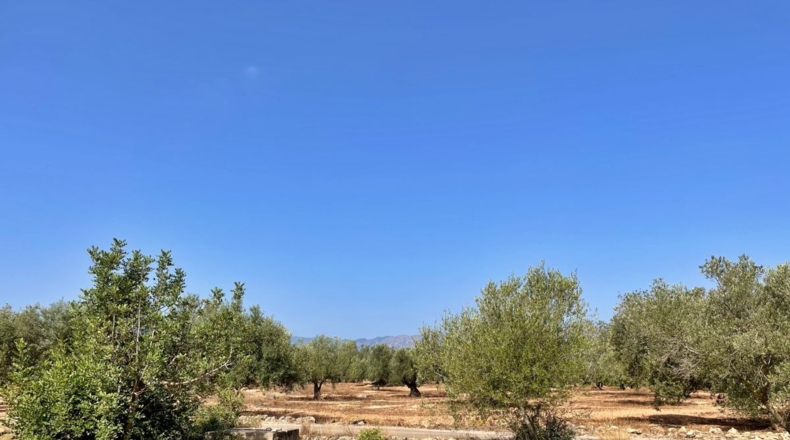 Tarragona - Aldover - 13325m2